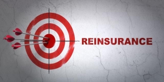 What Is Reinsurance