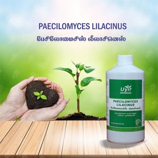 A Comprehensive Guide To The Benefits Of Paecilomyces Lilacinus
