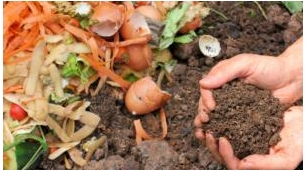 Frugal And Flourishing – Cost-Effective Organic Fertilizer Solutions For Kitchen Garden
