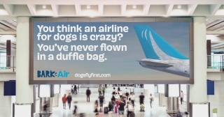 New Era Of Travel Made For Dogs Has Arrived With The Launch Of BARK Air......