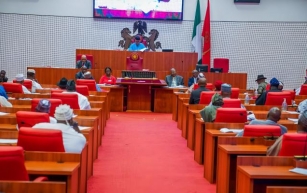 Economic Hardship: Nigerian lawmakers urge FG to adopt ‘food stamp’ approach