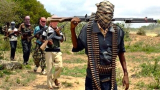 Terrorists Kill 11 People, Kidnap 20 Others In Zamfara Community