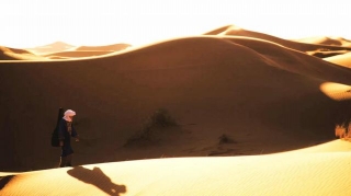 The Sahara Desert Guide & Interesting Facts