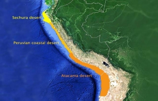 What Is A Coastal Desert?
