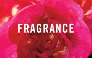Fragrance 101 – Dive into perfume, cologne, and the essence of scents!