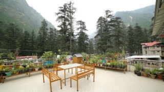 Chill Vibes And Delicious Bites: (Top Cafes In Kasol)