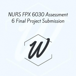 NURS FPX 6030 Assessment 6 Final Project Submission