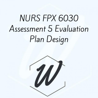 NURS FPX 6030 Assessment 5 Evaluation Plan Design