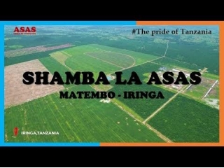 ASAS MATEMBO FARM - MEGA PROJECT - TANZANIA