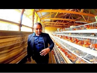 Medical Doctor Running A Multimillion Chicken Farming Project