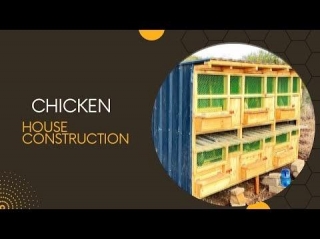 BUILDING MY CHICKEN HOUSE - Kenya