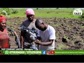 Complete Irrigation Sprinklers For Maize,Beans At Sumbawanga- Tanzania