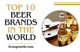 Top 10 Beer Brands In The World