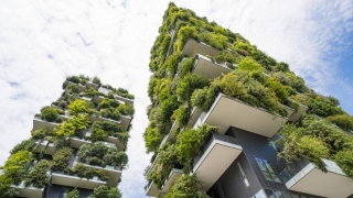 The Future Of Green Building