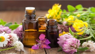 Embrace Tranquility: Therapeutic Benefits Of Relaxing Aroma Oils And How To Use It