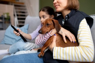 Protecting Your Passion: The Importance Of Pet Sitters Insurance