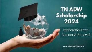 TN ADW Scholarship: Application Form, Amount & Renewal