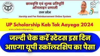 UP Scholarship Kab Tak Aayega 2024: Know When UP Scholarship Will Come, Check State Scholarship Status