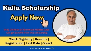 Kalia Scholarship 2024: Online Apply, Eligibility, Last Date