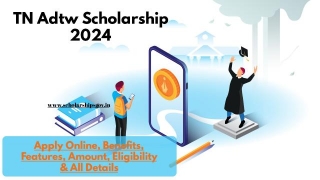 TN Adtw Scholarship 2024: Apply Online, Benefits, Features, Amount, Eligibility & All Details