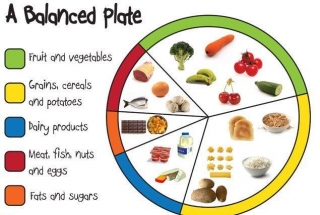Bring Back The Healthy Food Plate