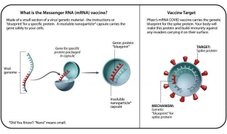 MRNA Vaccines