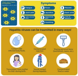 Hepatitis Infection