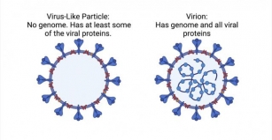 Virus-like Particles (VLPs)