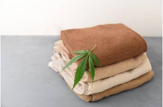 Going Green With Hemp: The Eco-Friendly Solution To Carbon Reduction