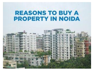 When Is The Best Time To Buy A Property In Noida?
