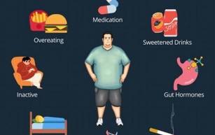 10 Myths and Facts About Obesity