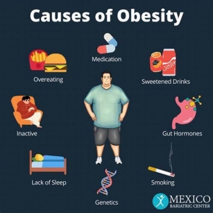10 Myths And Facts About Obesity