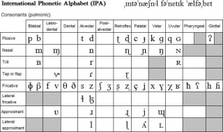Latin Alphabet: Languages That Use It & Variations