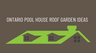 Ontario Pool House Roof Garden Ideas