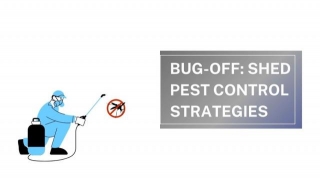 Bug-Off: Shed Pest Control Strategies