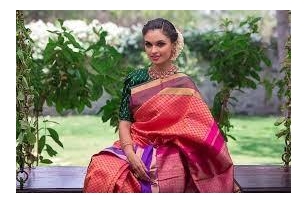 Unraveling The Tapestry: Motifs And Patterns In Indian Sarees