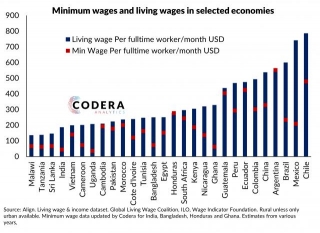 Minimum Wages And Living Wages In Selected Economies