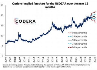 Moments Of Options-implied Probability Density For USDZAR