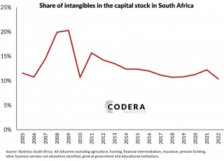 Intangible Capital Share Of Capital