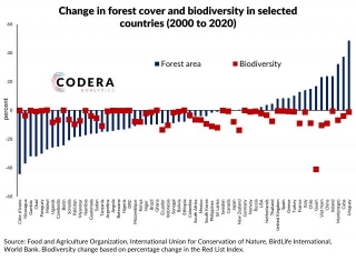 Deforestation And Biodiversity Loss Around The World