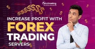 Where Can You Find The Right Forex Trading Server Providers?