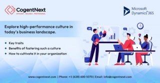Cultivating A High-Performance Culture For Business Growth