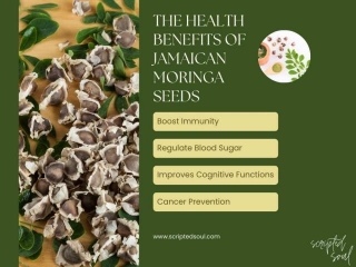 The Nutritional Powerhouse: Understanding The Health Benefits Of Jamaican Moringa Seeds