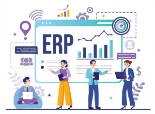 Crafting Your ERP Strategy: Customization And Out-of-the-Box Solutions