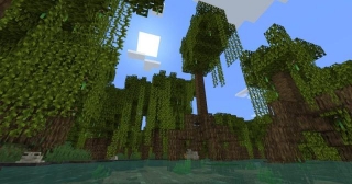How To Grow Mangrove Trees In Minecraft