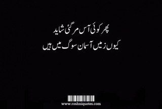 Best Urdu Poetry | 2 Lines Sad Poetry In Urdu Text | Sad Shayari - RoshniQuotes