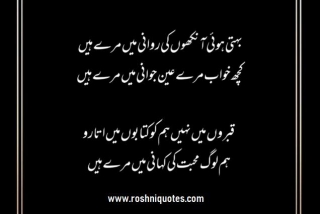 Best Urdu 4 Lines Sad Poetry In Urdu Text | Love Urdu Poetry - RoshniQuotes