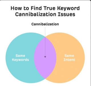 How To Find And Fix Keyword Cannibalization Issues