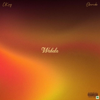 Music: Ckay - Wahala Ft Olamide