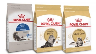 Dissolve Struvite Stones & Prevent Recurrence: Royal Canin Urinary So Wet Cat Food 2024